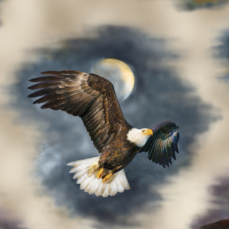 EAGLE DREAMS             